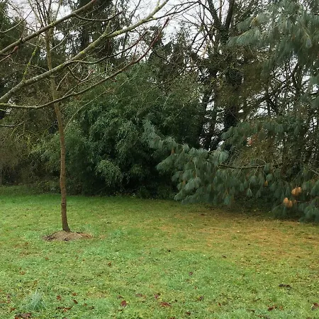 De La Cote Au Loup * Aubercy